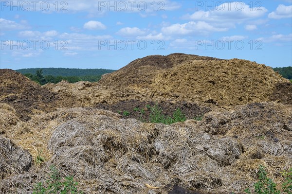 Muck heap