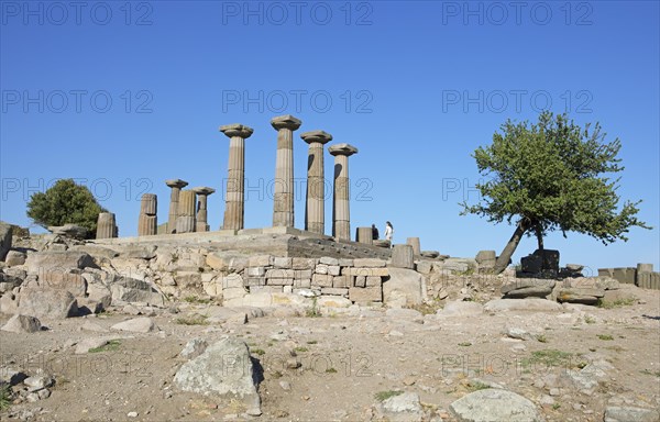 Doric columns from the Temple of Athena