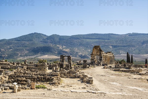 Well-preserved roman ruins in Volubilis