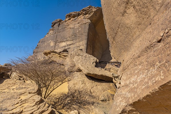 Rock carvings