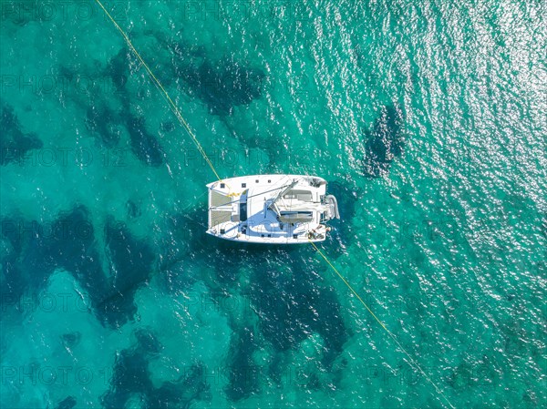 Sailing catamaran from above