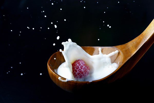 Fresh raspberry splashing milk on a wooden spoon