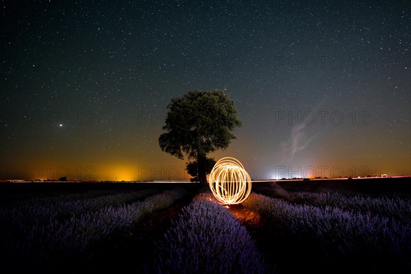 Rings of light in the milky way in a summer lavender field with a starry sky