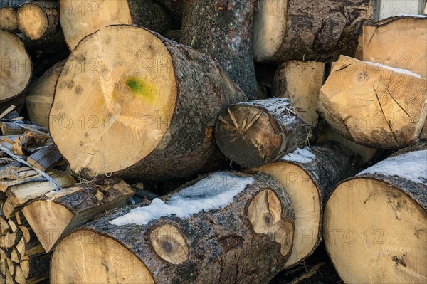 Stacked logs and firewood