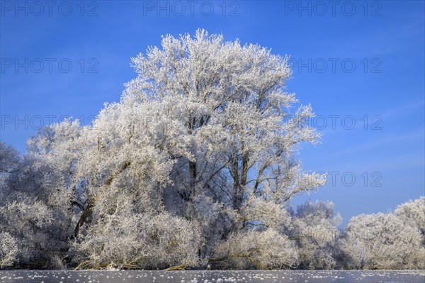 River landscape with hoarfrost and ice