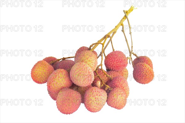 Bunch of ripe lychee isolated on white background