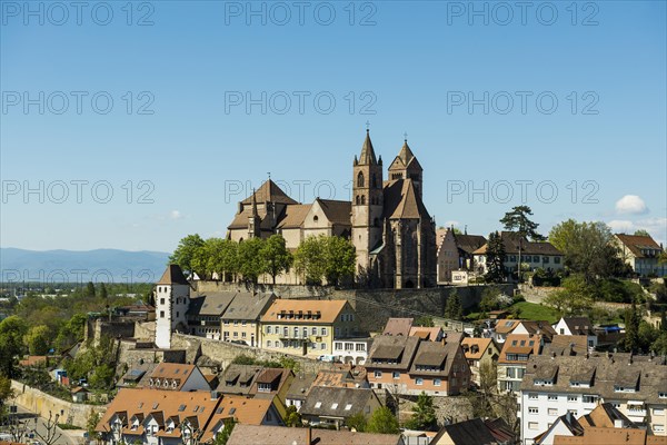 View from the Eckhartsberg on the old town with the Romanesque St. Stephen's Minster and the Rhine