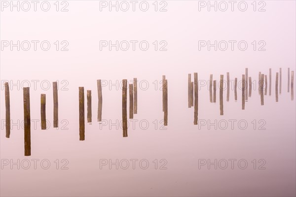 Anchor piles in the fog on autumnal Lake Duemmer