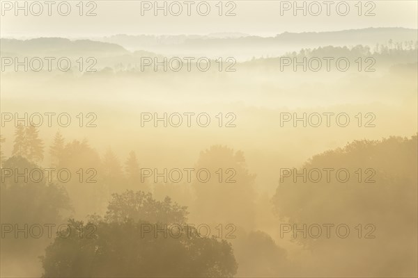 View over valleys and wooded heights in dense early morning fog