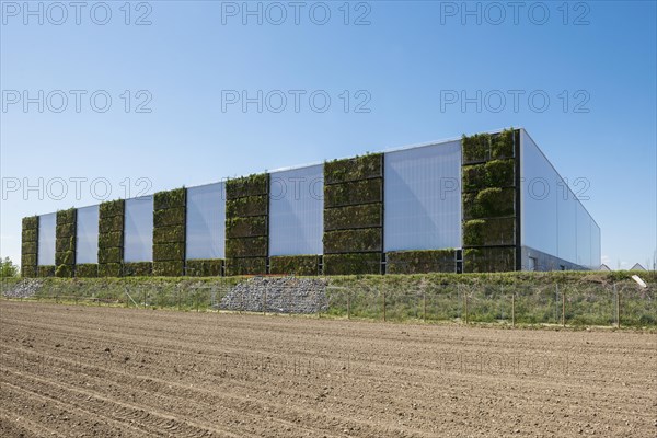 Greened factory facade