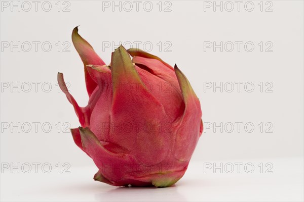 Pink pitahaya or dragon fruit isolated on white background with copy-space