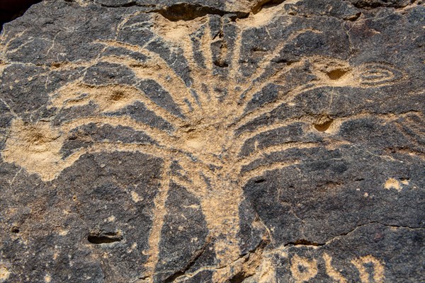 Rock carvings