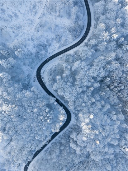 Bird's eye view of a country road leading through a snow-covered forest