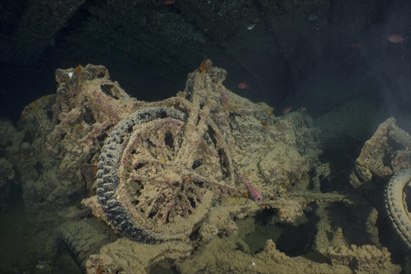 World War II motorbike in the hold of the Thistlegorm. Dive site Thistlegorm wreck