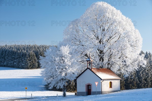 Chapel in front of tree in frost