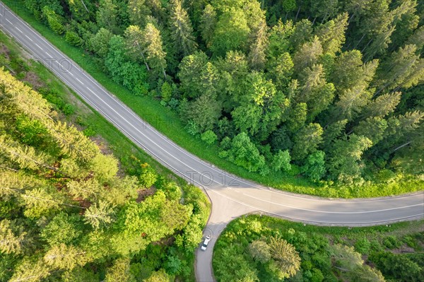 Road in the forest from above