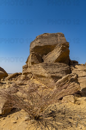 Rock carvings