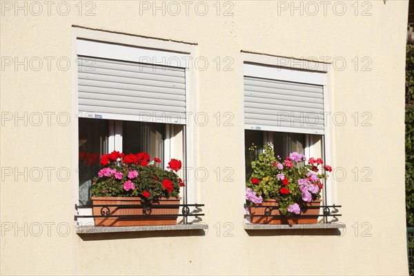 Windows with flower boxes and shutters
