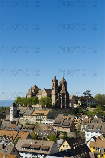 View from the Eckhartsberg on the old town with the Romanesque St. Stephen's Minster and the Rhine