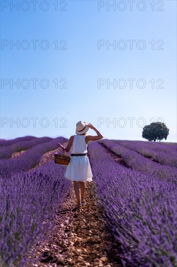 A woman in a white dress in a summer lavender field with a hat