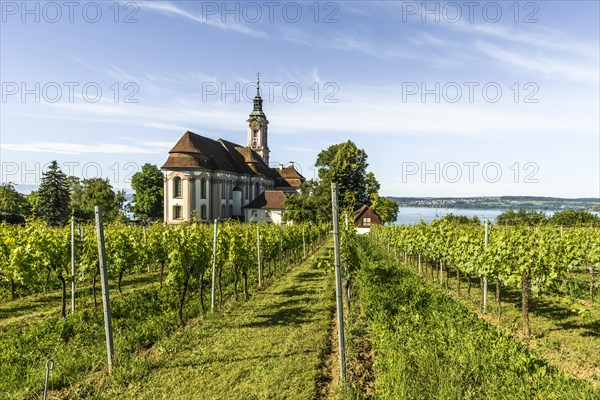 Birnau pilgrimage church with vineyards