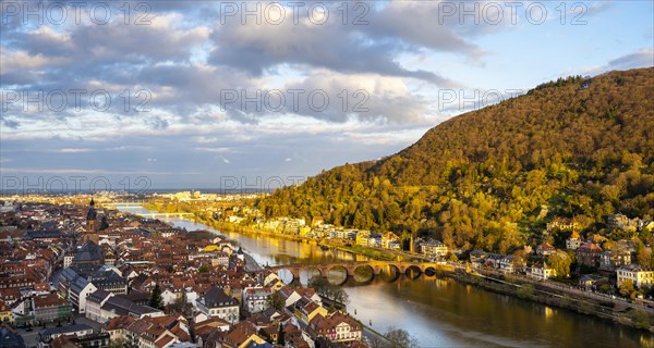 View of Heidelberg