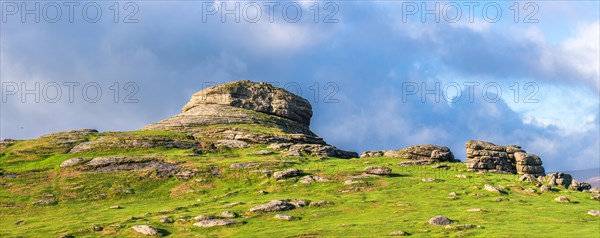 Haytor Rocks