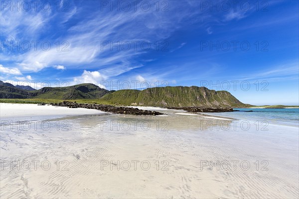 Fjord landscape in summer