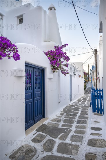 Cycladic white houses with blue shutters and bougainvillea