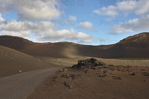 Asphalted road in national park