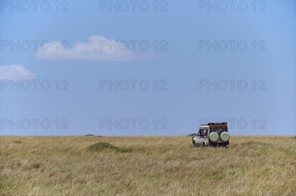 Savannah Landscape with Safari Car