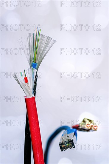A cut-open patch cable with RJ45 connector and a cut-open optical fibre cable with connector and shielding on a white background
