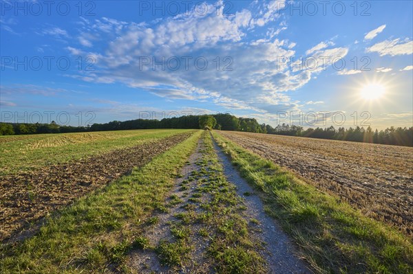 Field path