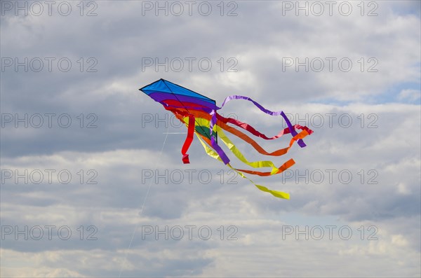 Colourful dragon flies against a cloudy autumn sky
