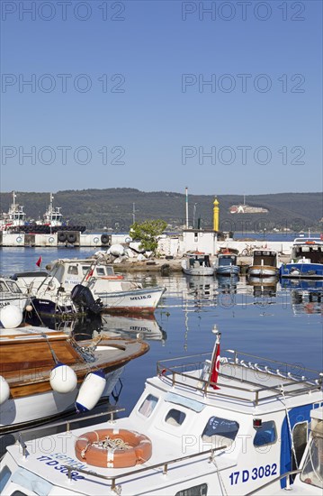 Boats in the harbour