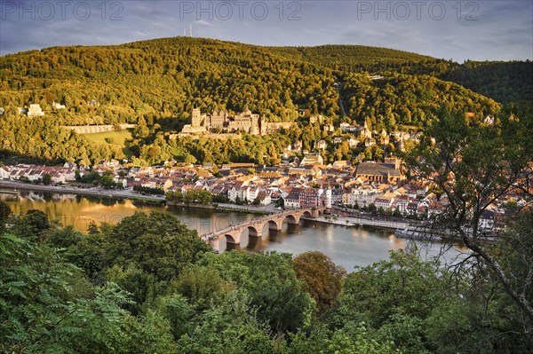 View of Heidelberg