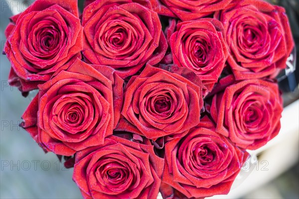 Bouquet with red roses