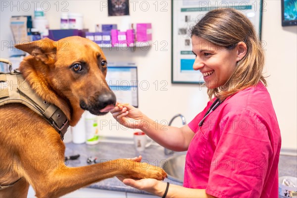 Veterinary clinic