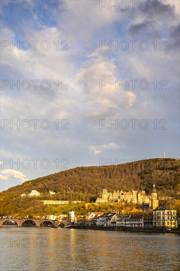 View of Heidelberg