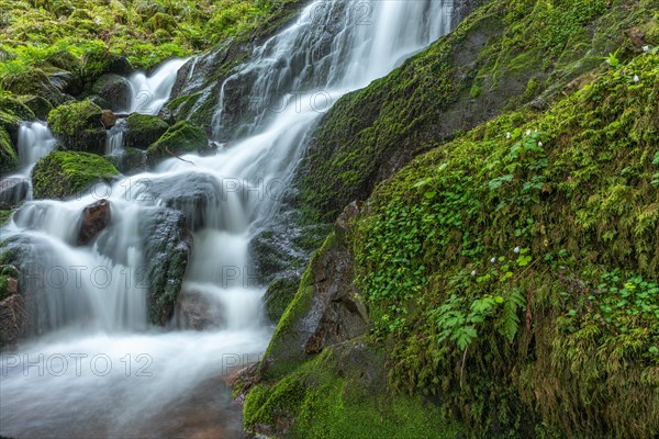 Fresh and beautiful waterfalls in a mountain stream in spring. La Serva