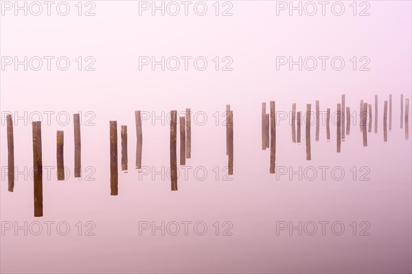 Anchor piles in the fog on autumnal Lake Duemmer