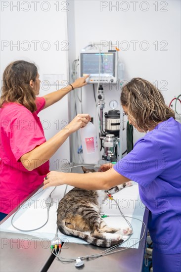 Veterinary clinic