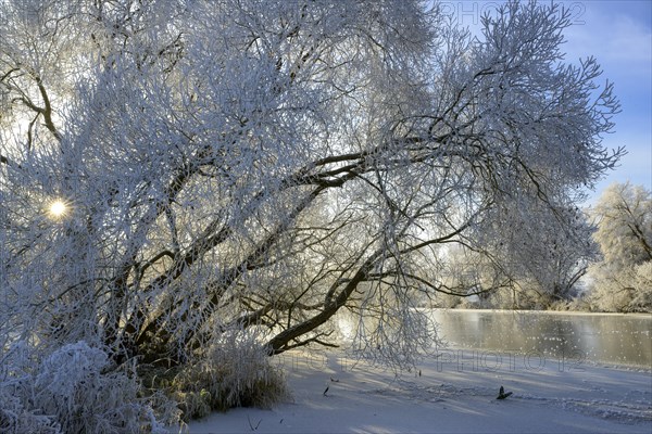 River landscape with hoarfrost and ice