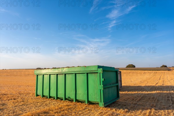 Workers working on crops in a field