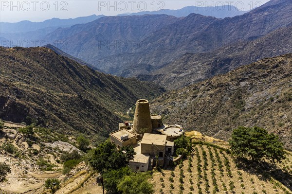 Aerial of fortified house and a coffee plantation