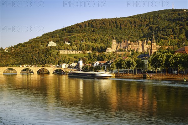 View of Heidelberg