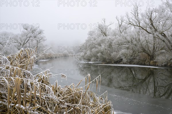 River landscape