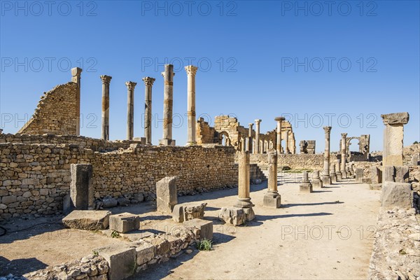 Well-preserved roman ruins in Volubilis