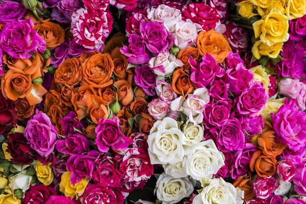 Bouquet with colourful roses