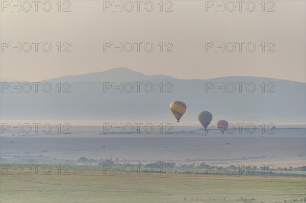 Savannah landscape with hot air balloons in the morning fog